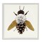 Stupell Industries Nature Constructed Bee Framed Giclee, design by Sasha